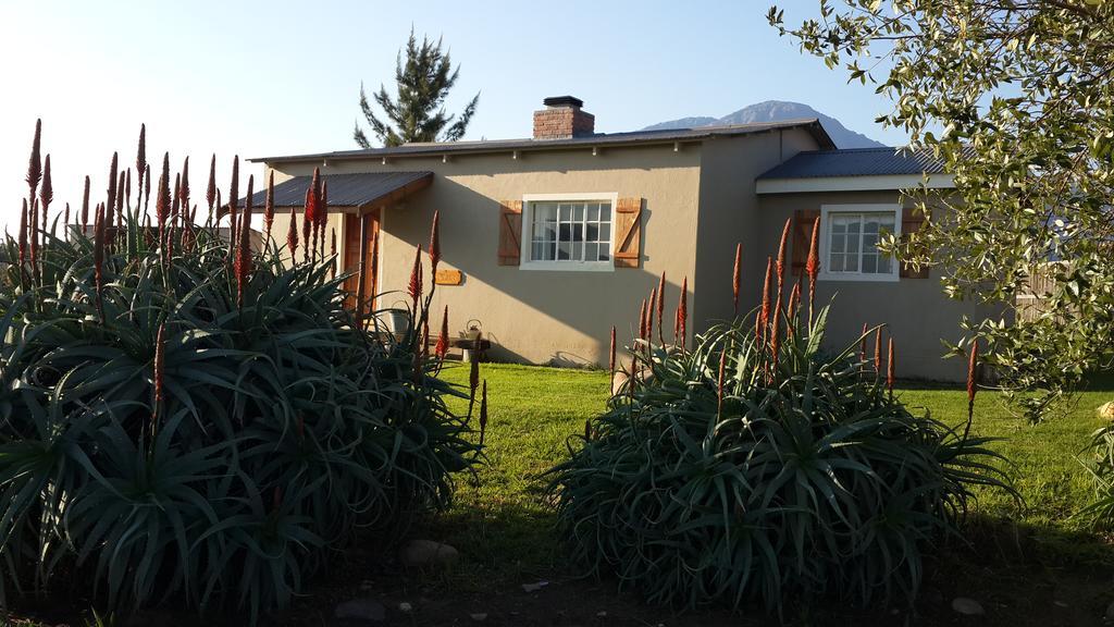 Seven Oaks Vineyard Cottages Wolseley Esterno foto