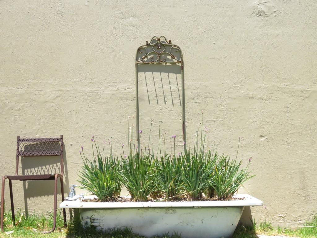 Seven Oaks Vineyard Cottages Wolseley Esterno foto