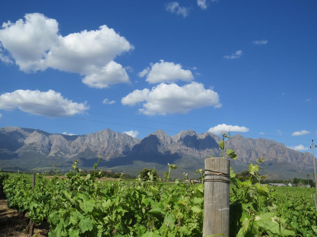 Seven Oaks Vineyard Cottages Wolseley Esterno foto