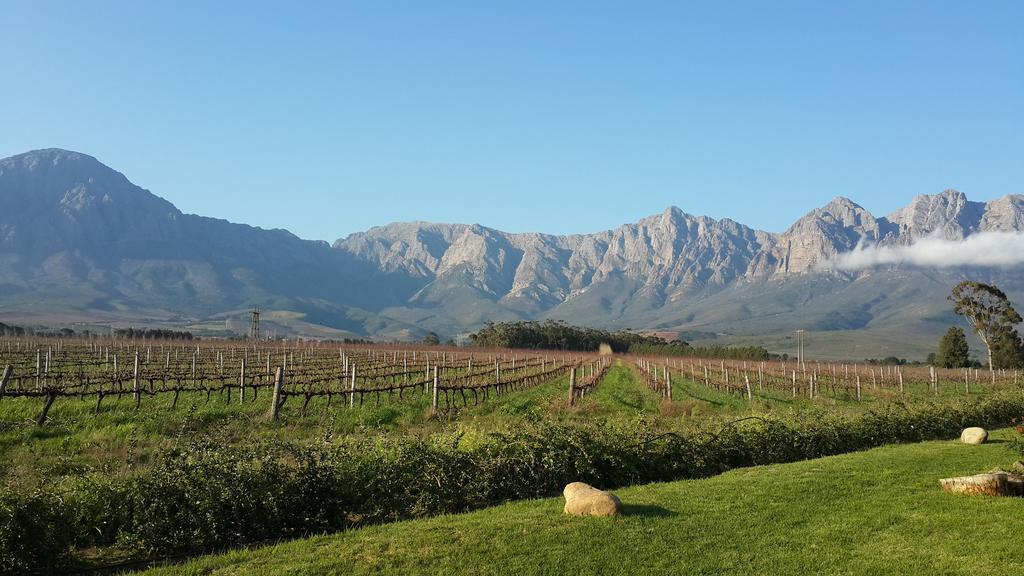 Seven Oaks Vineyard Cottages Wolseley Esterno foto