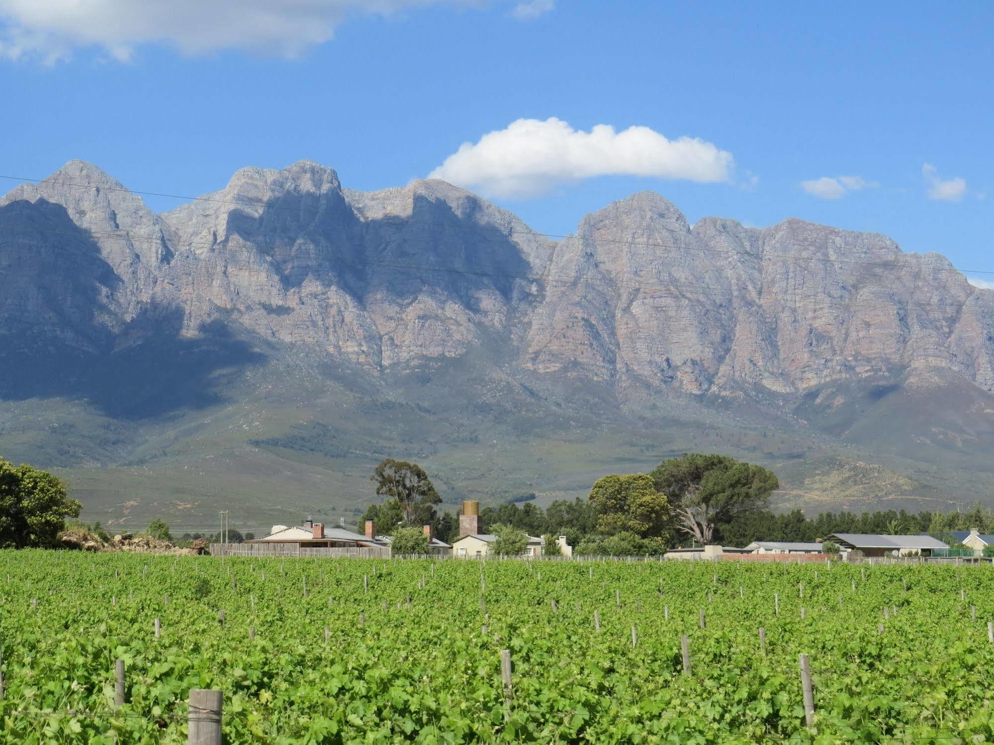 Seven Oaks Vineyard Cottages Wolseley Esterno foto