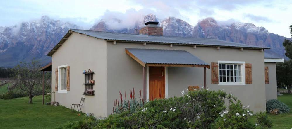Seven Oaks Vineyard Cottages Wolseley Esterno foto